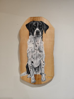 /album/galerie2/1735584843497-jpg/