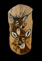 /album/galerie2/4de505e9-14b2-4a72-a051-5c70696236fc-jpeg/