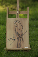 /album/galerie/ud-5513-jpg/