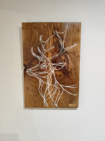 /album/galerie/1735584843519-jpg/